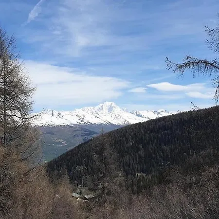 Plagne Lauze - Maeva - 2 Pieces 5 Personnes - Confort Mae-9202 Appartement *